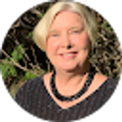 Profile photo of Sue Davis