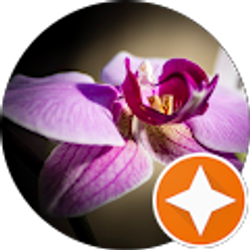 Profile photo of Bill Ritchie