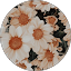 Profile photo of Ely Juarez