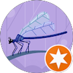 Profile photo of Sue Bechard