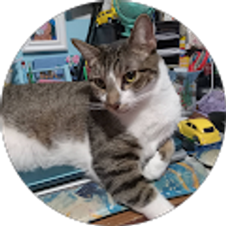 Profile photo of Jan Parker