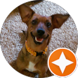 Profile photo of Star Fouse