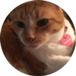 Profile photo of Denise Haverkos