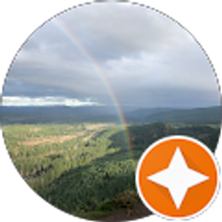 Profile photo of T Palmer