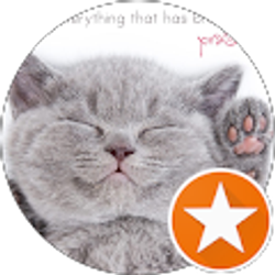 Profile photo of Nickola OConnor