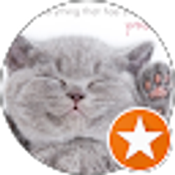 Profile photo of Nickola OConnor