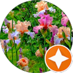 Profile photo of dennis day