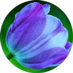 Profile photo of LaTrika Peoples