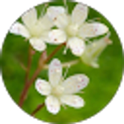 Profile photo of Kenzie C.