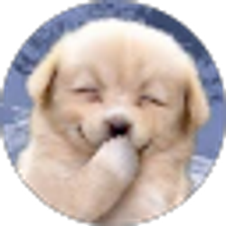 Profile photo of Carol Allen