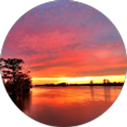 Profile photo of Condo Miles