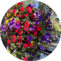 Profile photo of victoria aguilar