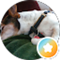 Profile photo of Stacy Specht