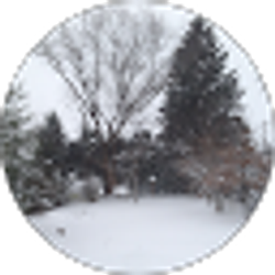 Profile photo of Tyler Duffy