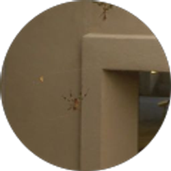 Profile photo of Lawanda Hampton