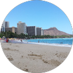 Profile photo of Sam L