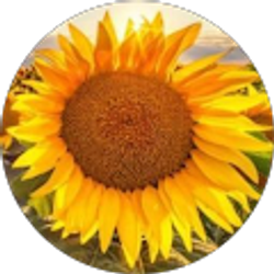 Profile photo of Angela Hawkins