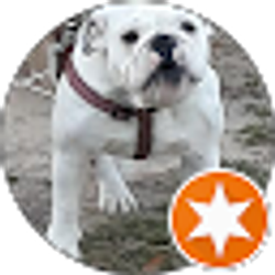 Profile photo of Pedro Naga