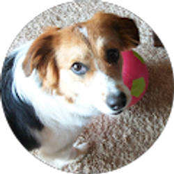 Profile photo of Madonna Pohlman