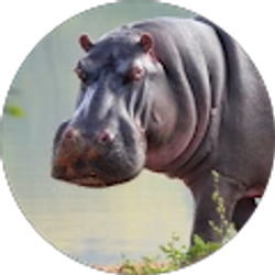 Profile photo of Veronica Butts