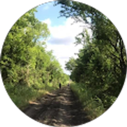 Profile photo of Cynthia M