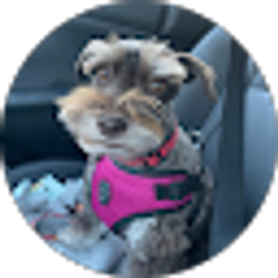 Profile photo of Deborah Chestnut