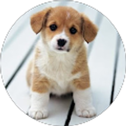 Profile photo of Jhoname Denaga