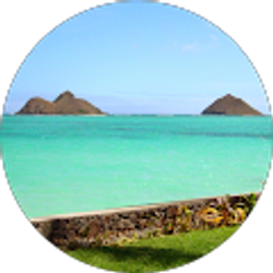 Profile photo of Matthew Reynolds