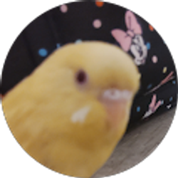 Profile photo of Sandra Valdez