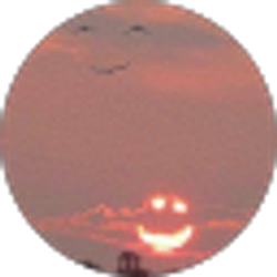 Profile photo of Nieve Hernandez