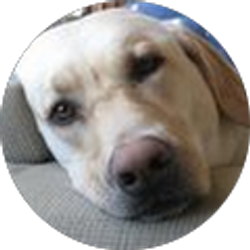 Profile photo of Kathy Lazere