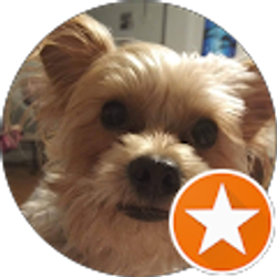 Profile photo of Jeannette Massey