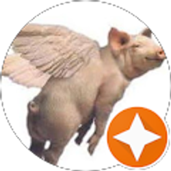 Profile photo of Scott Reep