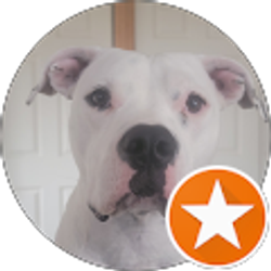 Profile photo of Kevin Hendrix