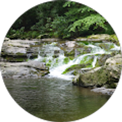 Profile photo of Sharon S.