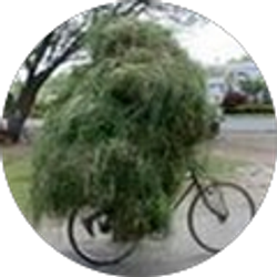 Profile photo of Liz Barry