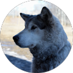 Profile photo of Zioc