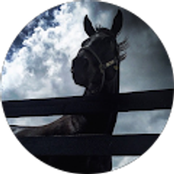 Profile photo of Jill Mallory