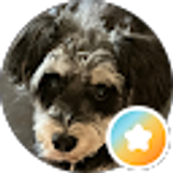 Profile photo of Julie Chandler