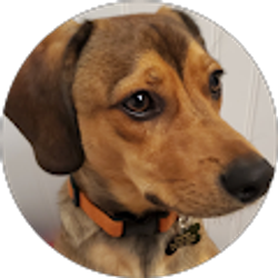 Profile photo of Robyn Cummings