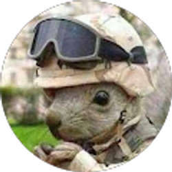 Profile photo of Alex Kaschmitter