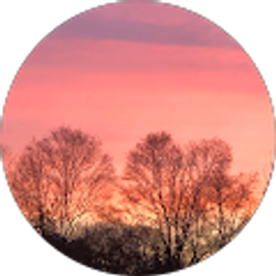 Profile photo of Dagmar Peterson