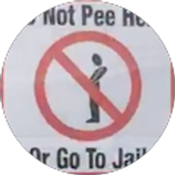 Profile photo of Silver Rose