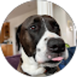 Profile photo of gpst