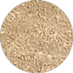 Profile photo of Fernando Chaires