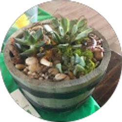 Profile photo of Karyn Evans