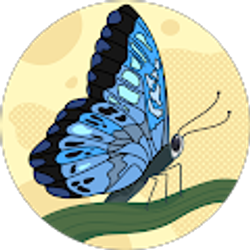 Profile photo of Sami Berg