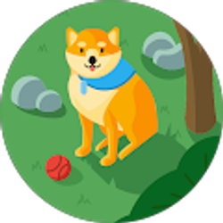 Profile photo of David Phung