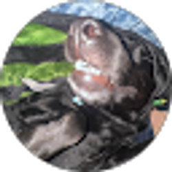 Profile photo of Dar io