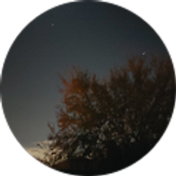 Profile photo of Genesis